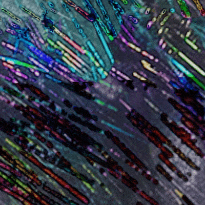 hologram icon